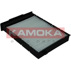  filtras, salono oras