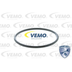  termostatas, aušinimo skystis <small>EXPERT KITS +</small>