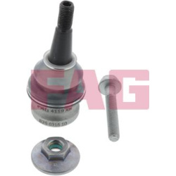  Šarnyras / girgždukas