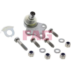  Šarnyras / girgždukas