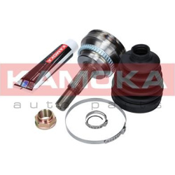 pusašio šarnyras  pusašio šarnyras