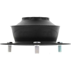  remonto komplektas, pakabos statramstis