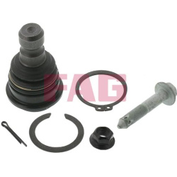  Šarnyras / girgždukas