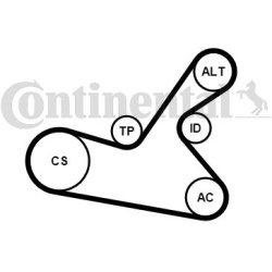  V formos rumbuotas diržas, komplektas