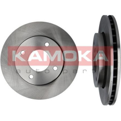  stabdžių diskas (1vnt)