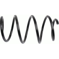 spyruoklė  spyruoklė