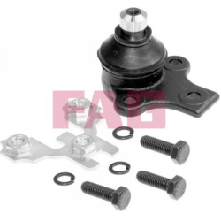  Šarnyras / girgždukas