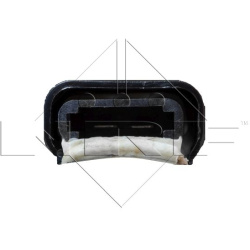 vidaus pūtiklis  vidaus pūtiklis