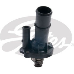  termostatas, aušinimo skystis