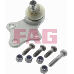  Šarnyras / girgždukas