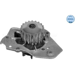  Vandens siurblys, variklio aušinimas