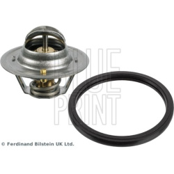  termostatas, aušinimo skystis