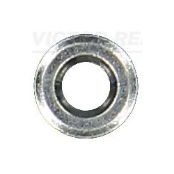  tarpiklis, purkštukas