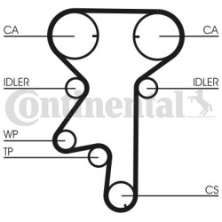  vandens siurblio ir paskirstymo diržo komplektas