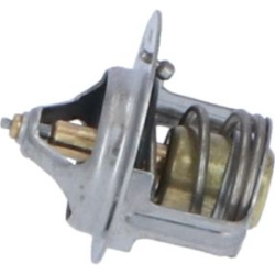  termostatas, aušinimo skystis