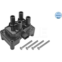  ritė, uždegimas <small>MEYLE-ORIGINAL: True to OE.</small>