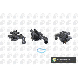  termostatas, aušinimo skystis