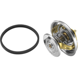  termostatas, aušinimo skystis