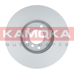  stabdžių diskas (1vnt)