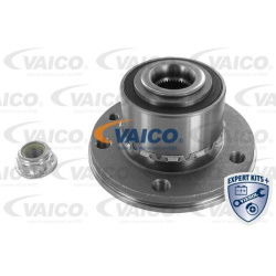  rato guolis <small>EXPERT KITS +</small>