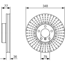  stabdžių diskas (1vnt)