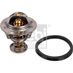  termostatas, aušinimo skystis