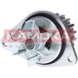  Vandens siurblys, variklio aušinimas