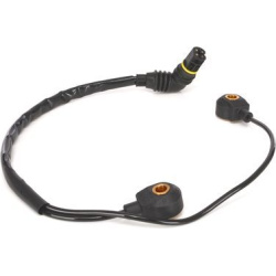  detonacijos jutiklis