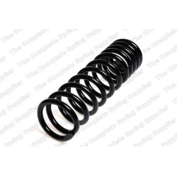 spyruoklė  spyruoklė