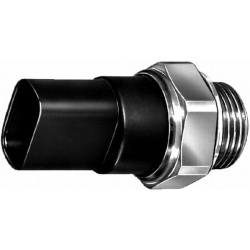  temperatūros jungiklis, radiatoriaus ventiliatorius