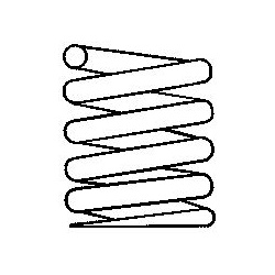 spyruoklė  spyruoklė