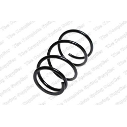 spyruoklė  spyruoklė