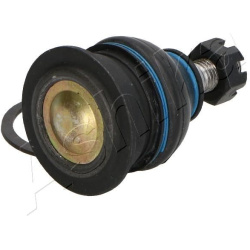  Šarnyras / girgždukas