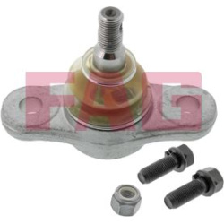  Šarnyras / girgždukas