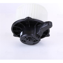 vidaus pūtiklis  vidaus pūtiklis