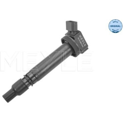  ritė, uždegimas <small>MEYLE-ORIGINAL: True to OE.</small>