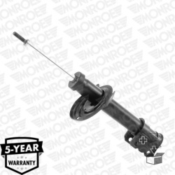 amortizatorius  amortizatorius