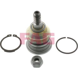  Šarnyras / girgždukas