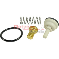  termostatas, aušinimo skystis