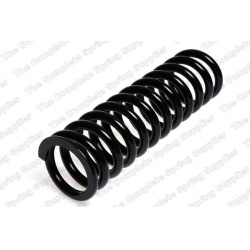 spyruoklė  spyruoklė