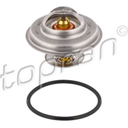  termostatas, aušinimo skystis