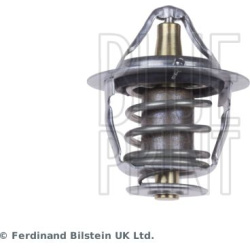  termostatas, aušinimo skystis