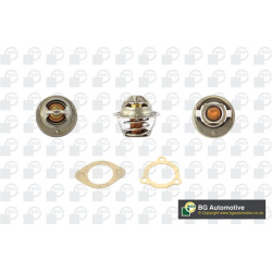  termostatas, aušinimo skystis