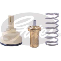  termostatas, aušinimo skystis