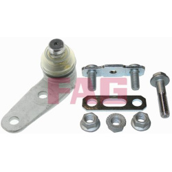  Šarnyras / girgždukas