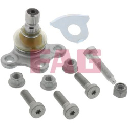  Šarnyras / girgždukas