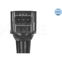  ritė, uždegimas <small>MEYLE-ORIGINAL: True to OE.</small>