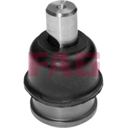  Šarnyras / girgždukas