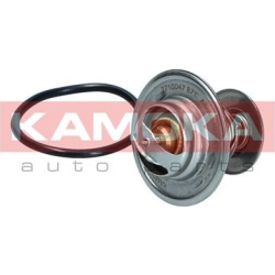  termostatas, aušinimo skystis