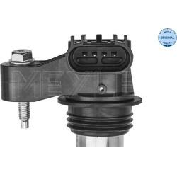  ritė, uždegimas <small>MEYLE-ORIGINAL: True to OE.</small>